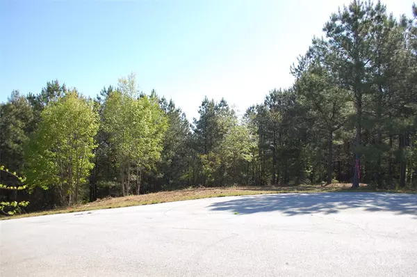 Ellenboro, NC 28040,Lot 10 Moore Mountain LN