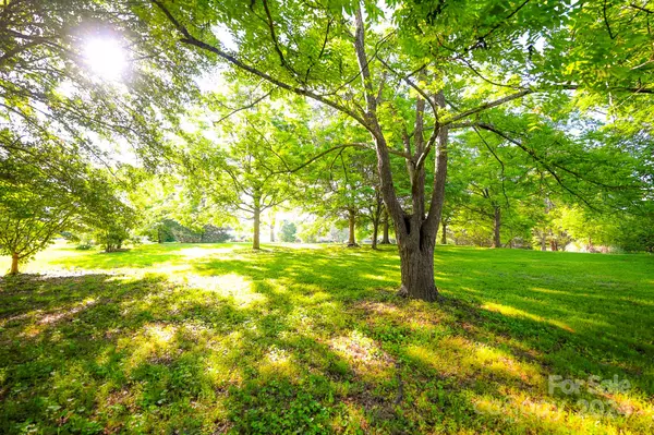 00 Poors Ford RD, Rutherfordton, NC 28139