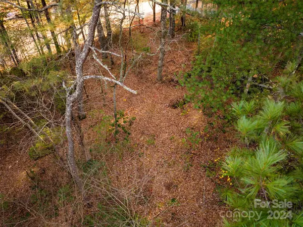 Fairview, NC 28730,Lot #7 Alexander Crest DR