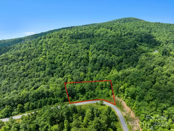 Lake Lure, NC 28746,0 Glen Ridge TRL #334