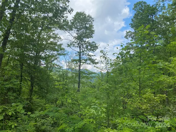 Bryson City, NC 28713,Lot 93 Alarka Highlands DR