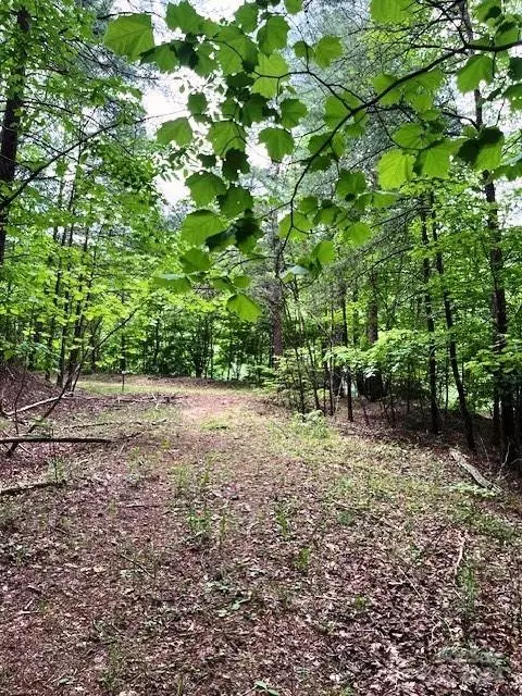 Mill Spring, NC 28756,Lot 46 Lake Adger Pkwy