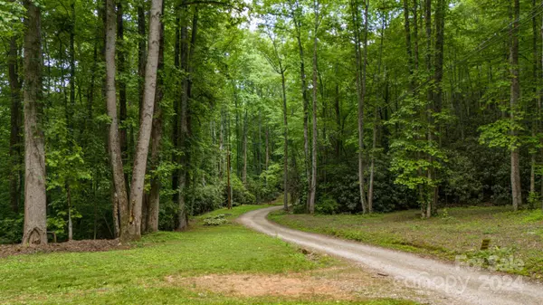 Candler, NC 28715,95 Treetops DR