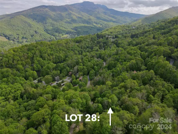 TBD Alpine DR #28, Seven Devils, NC 28604