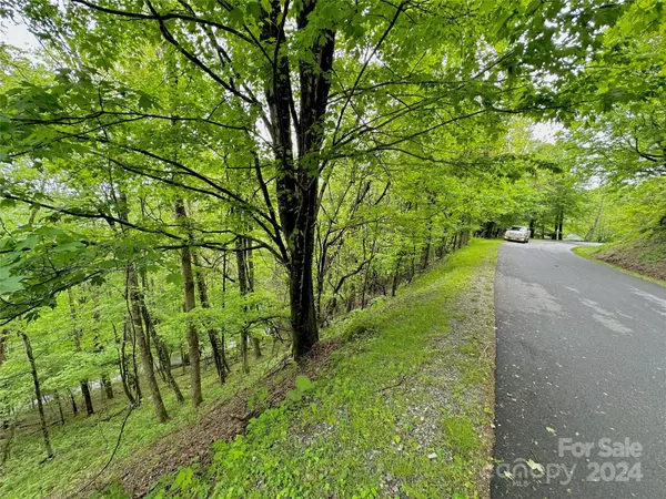Seven Devils, NC 28604,TBD Alpine DR #33