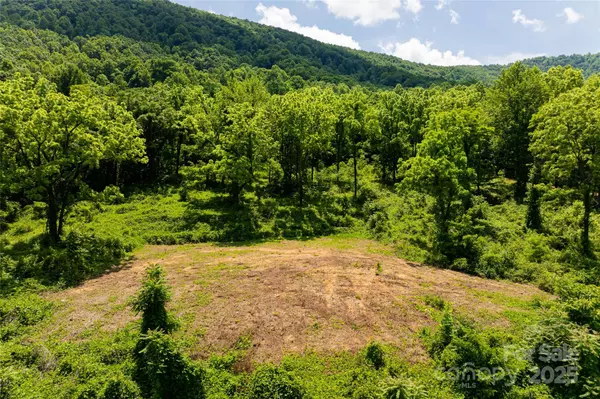 Old Fort, NC 28762,3223 Mt Hebron RD