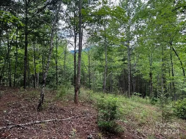 Mill Spring, NC 28756,Lot 11 Lake Adger Pkwy