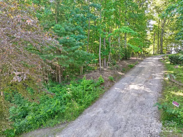 Candler, NC 28715,10 Fair Bluff LN