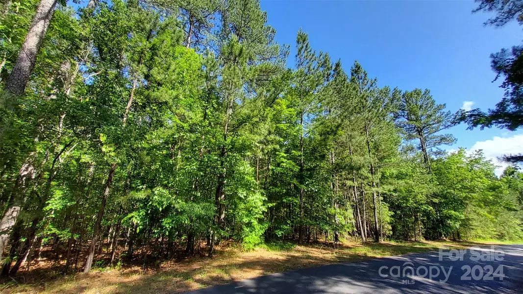 000 Loblolly LN #22, Mill Spring, NC 28756