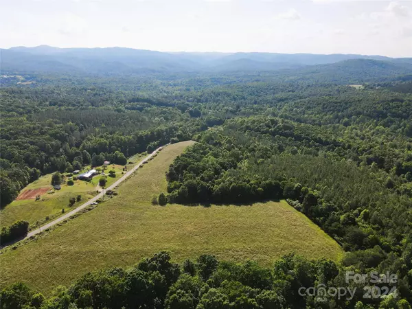 Connelly Springs, NC 28612,04 Rhoney RD