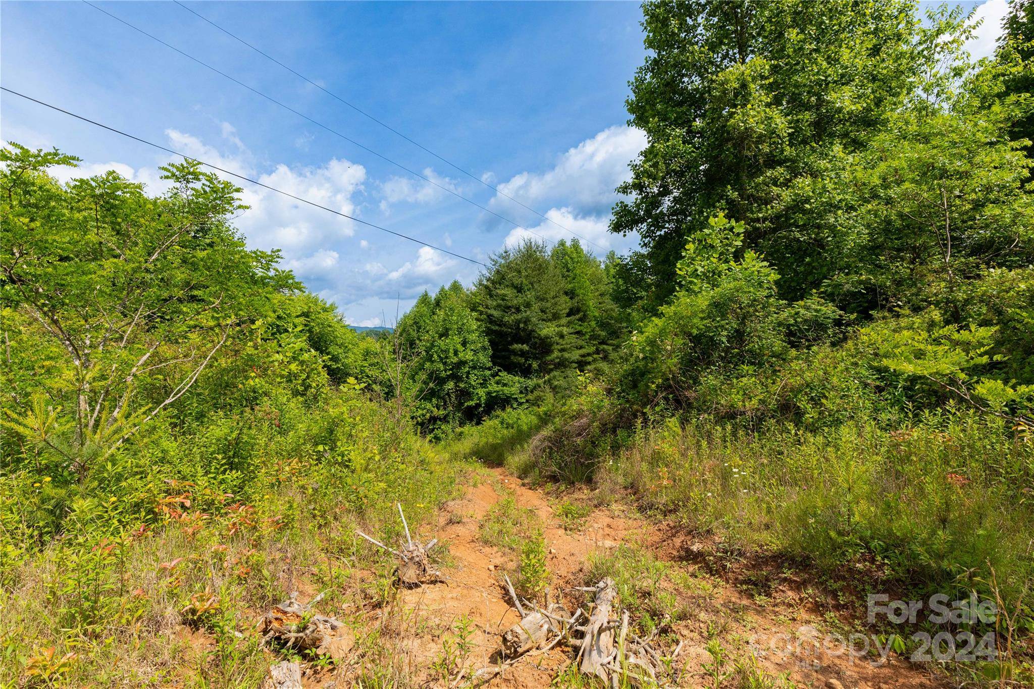 Waynesville, NC 28785,000 Destiny RD