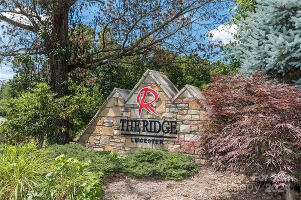 Leicester, NC 28748,43 Alaskan DR #24A