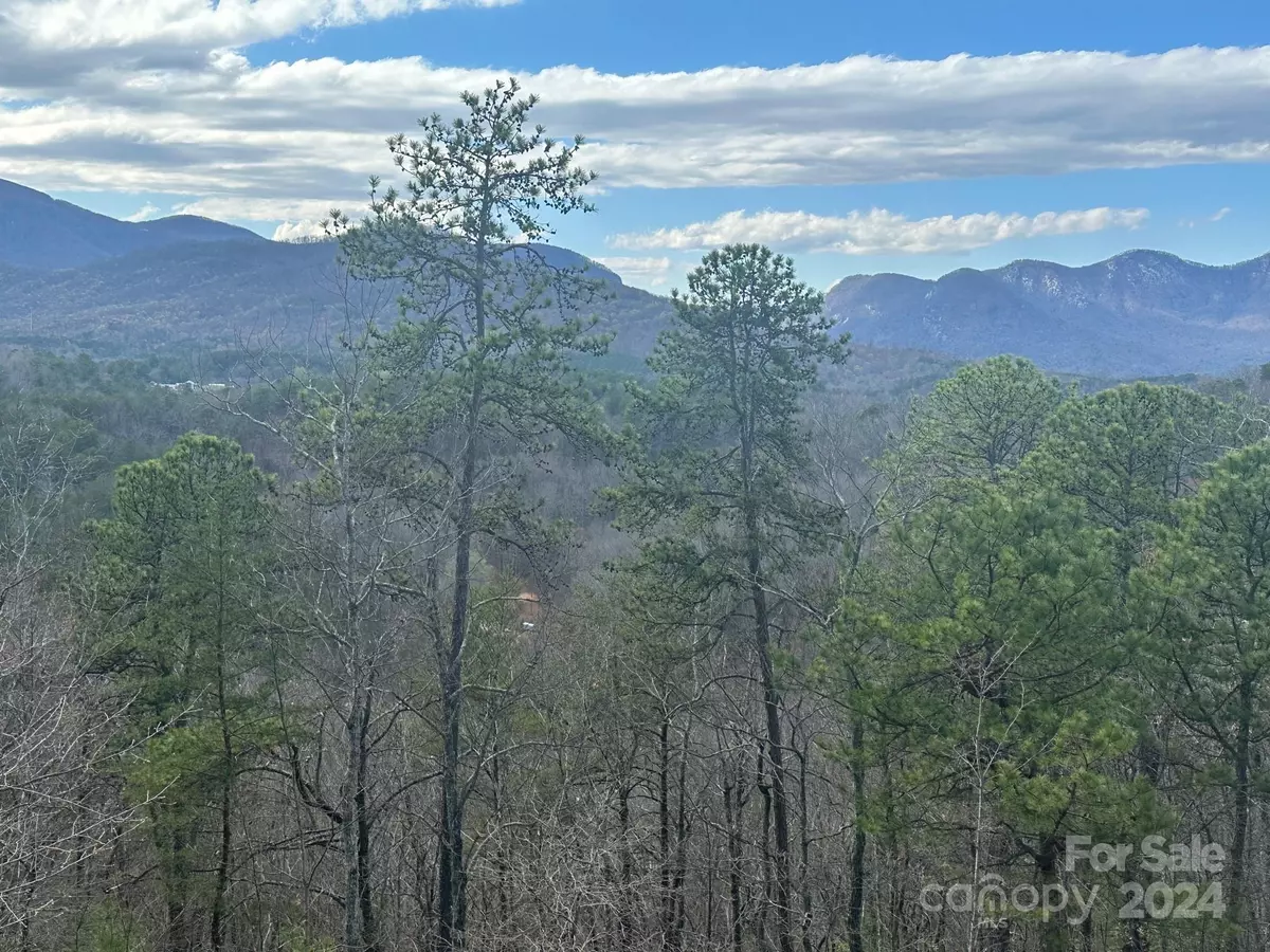 Lake Lure, NC 28746,0000 Boulder RDG