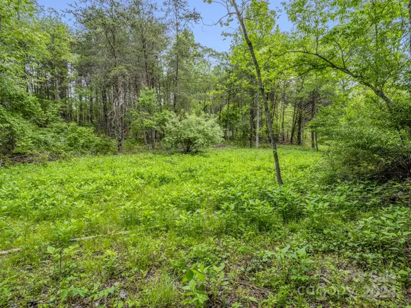 Mill Spring, NC 28756,000 Henry Ruff RD #Lot 1