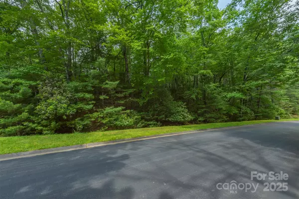 Horse Shoe, NC 28742,99999 Caddis LN #96