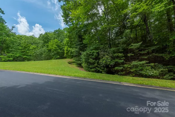 Horse Shoe, NC 28742,99999 Caddis LN #96