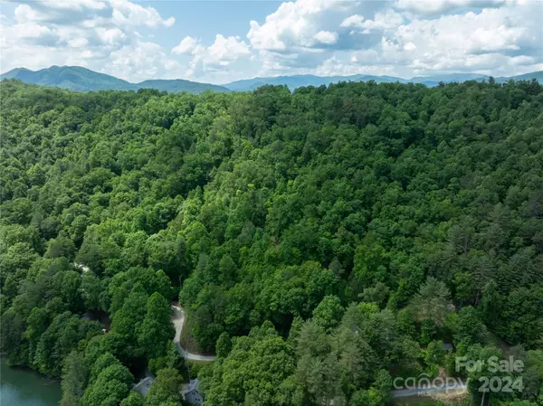 Robbinsville, NC 28771,Lot 10 White Oak RD