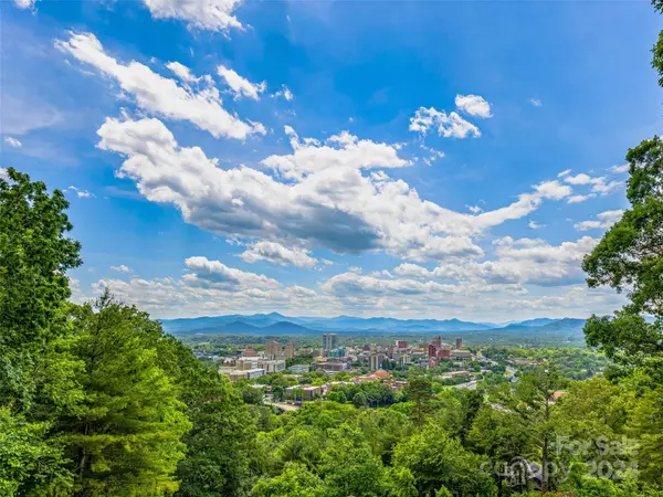 Asheville, NC 28804,13 Cogswood RD