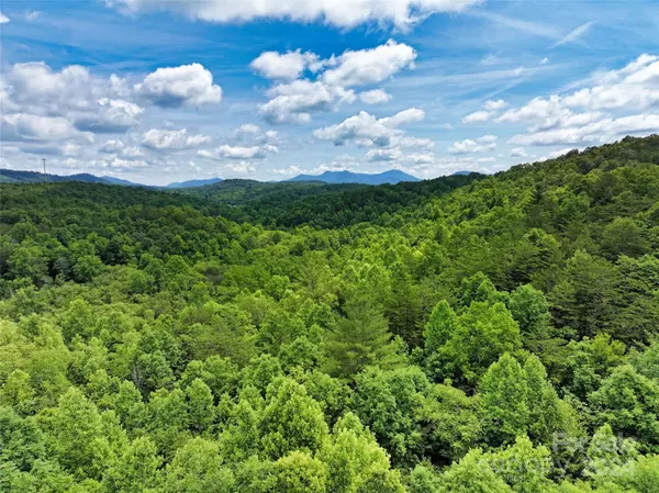 Lake Lure, NC 28746,9.84 Acres Lucky Horse LN