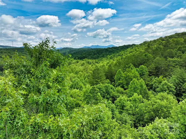 Lake Lure, NC 28746,9.84 Acres Lucky Horse LN