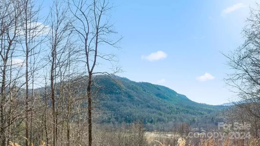 208 Southview DR, Lake Lure, NC 28746