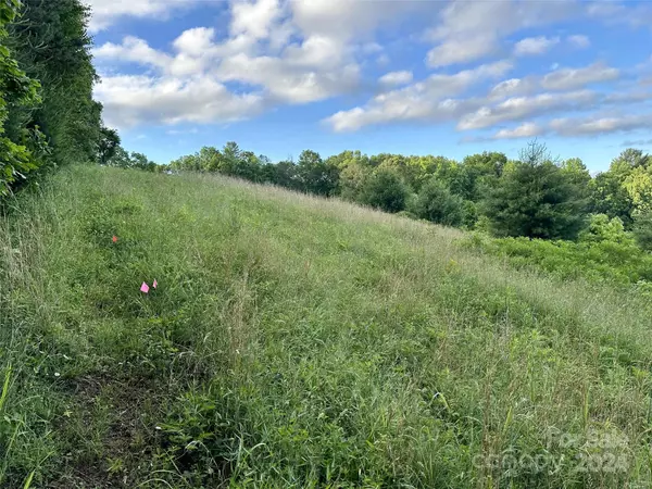Clyde, NC 28721,Lot #21 Dream Valley DR