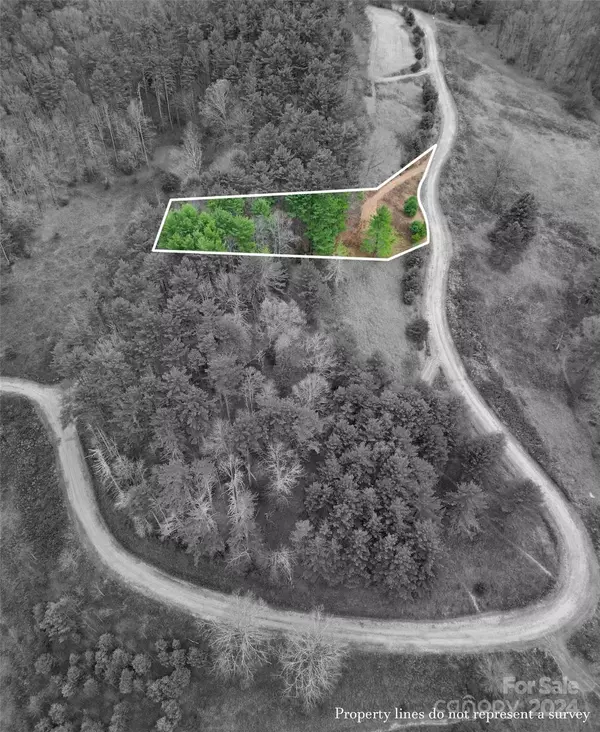 Clyde, NC 28721,Lot 22 Dream Valley DR
