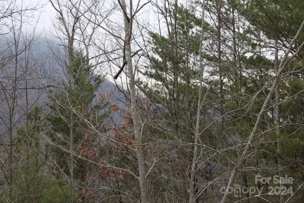 Lake Lure, NC 28746,0000 Hawks Nest TRL ##25