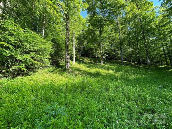 0 Satellite Mountain RD #3, 4, 5, Burnsville, NC 28714