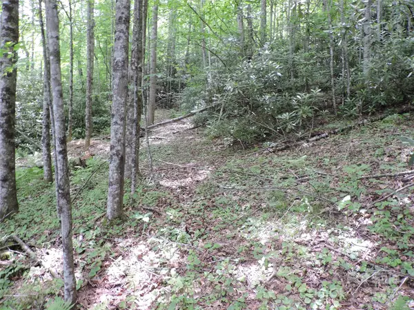Burnsville, NC 28714,00 South Toe River RD #lot 3
