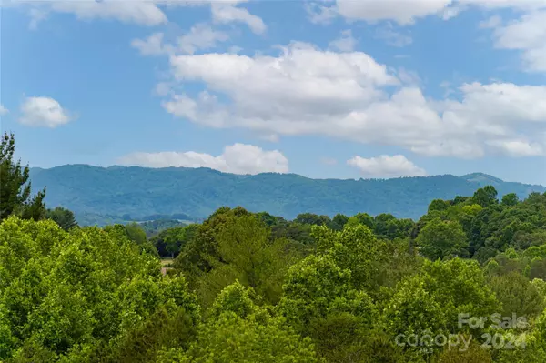 Asheville, NC 28806,33 Walnut Grove LN