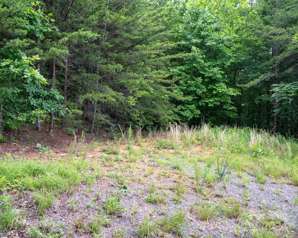 Marion, NC 28752,TBD Chicory DR