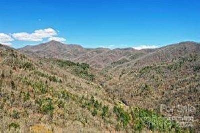 Lot 7 Section 10 Julalbo RD #Lot 7, Sec 10, Whittier, NC 28789