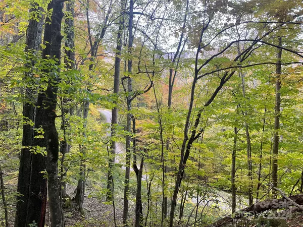 Mars Hill, NC 28754,96 Chestnut LN #96