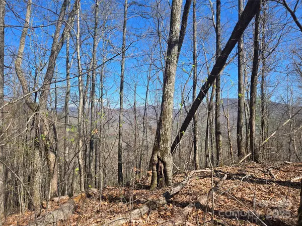 Cullowhee, NC 28723,000 Brasstown RD