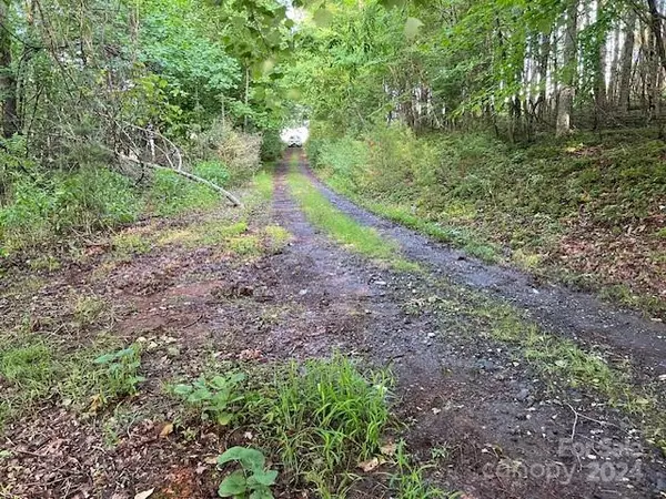 Green Mountain, NC 28740,000 Old Chestnut Mountain RD