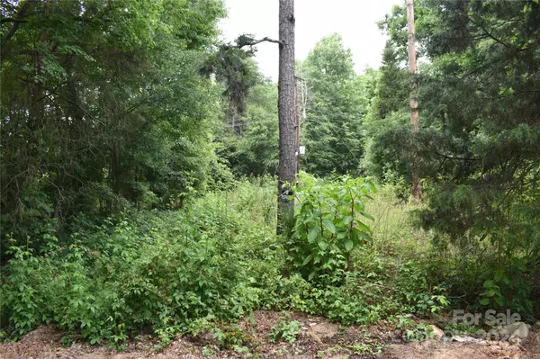 Lincolnton, NC 28092,1690 Roseland DR