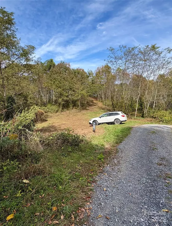 Tract 2 Turkey Trot RD, Clyde, NC 28721