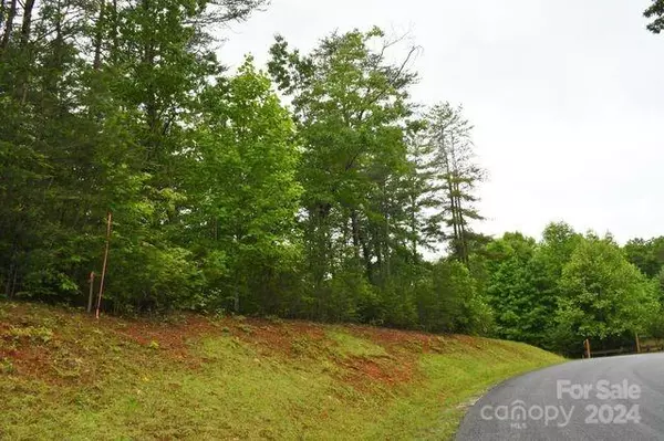 Nebo, NC 28761,Lot 40 Larkhaven DR