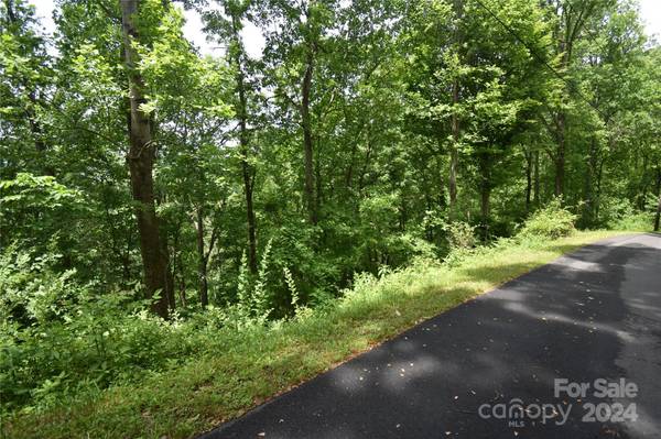 Maggie Valley, NC 28751,Lots 105&106 Cicada DR