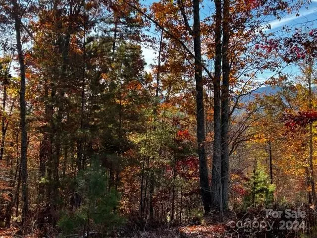 Lot 6 & 7 Parkway North RD, Mill Spring, NC 28756