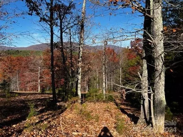 Mill Spring, NC 28756,Lot 6 & 7 Parkway North RD