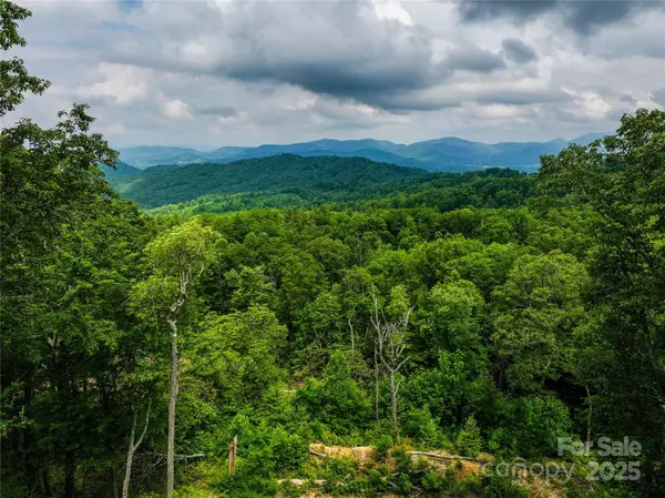 Hendersonville, NC 28792,632 Justus Case Mountain PL