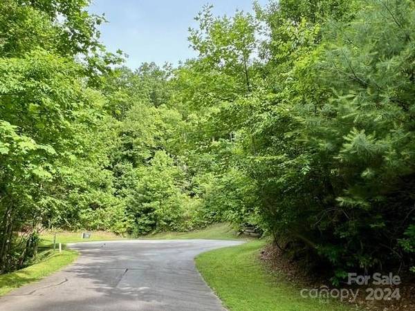 Hendersonville, NC 28739,271 Mountain Morning LN #41