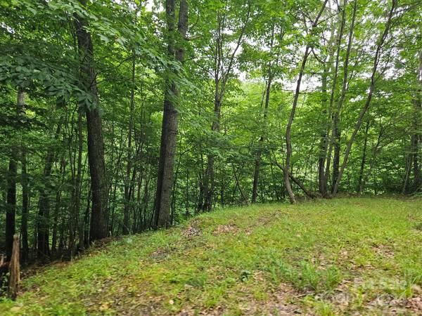 Burnsville, NC 28714,Lot 3 Mountain View RD