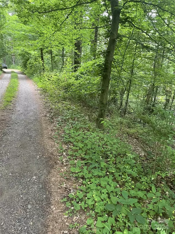 Fairview, NC 28730,9999 Edmond Woods PL