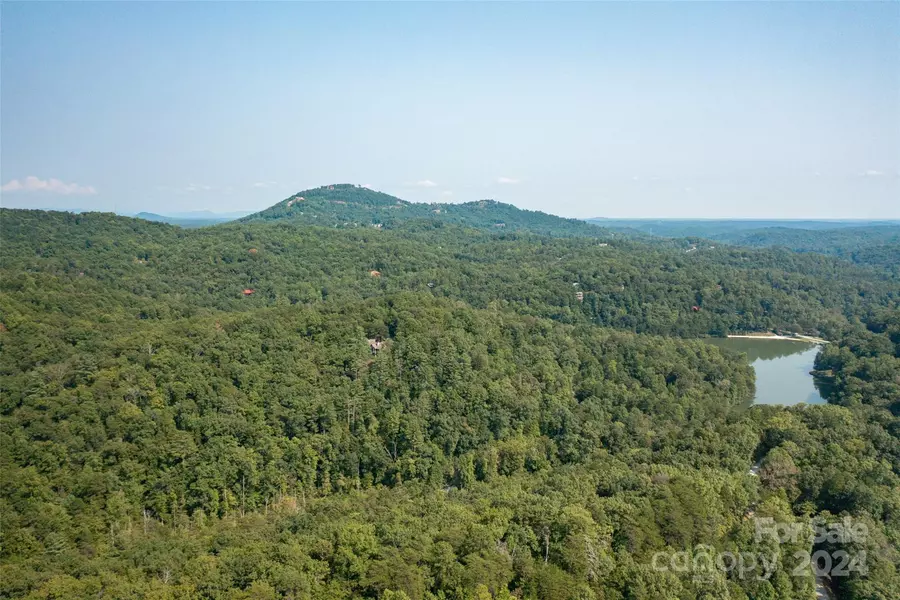 0000 Bills Creek RD #117, Lake Lure, NC 28746