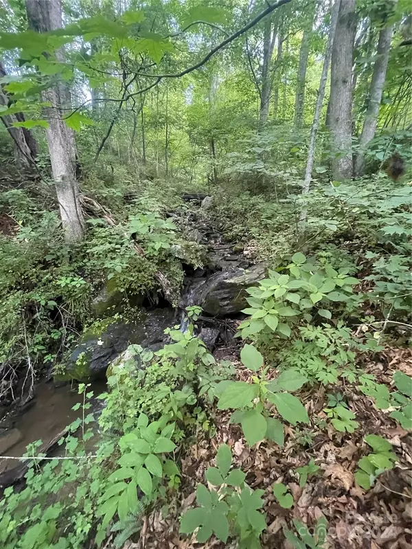 Canton, NC 28716,TBD Mountain Glen RD