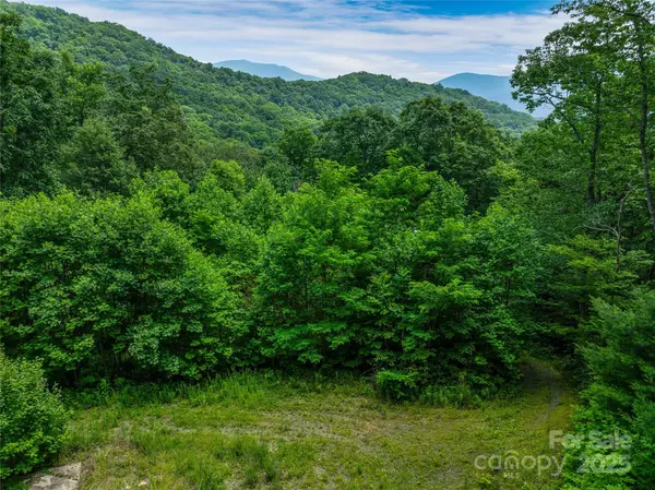 Swannanoa, NC 28778,940 Long Branch RD