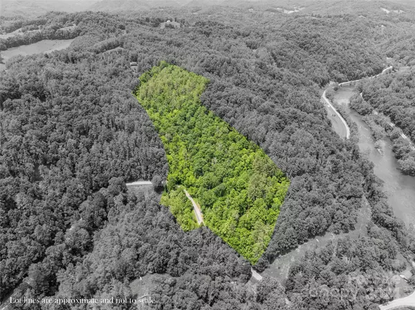 Green Mountain, NC 28740,000 Jacks Creek RD